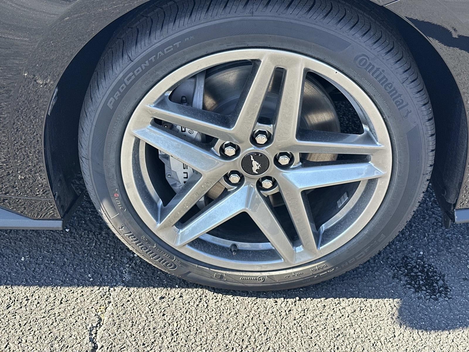 2026 Ford Mustang GT PREMIUM FASTBACK