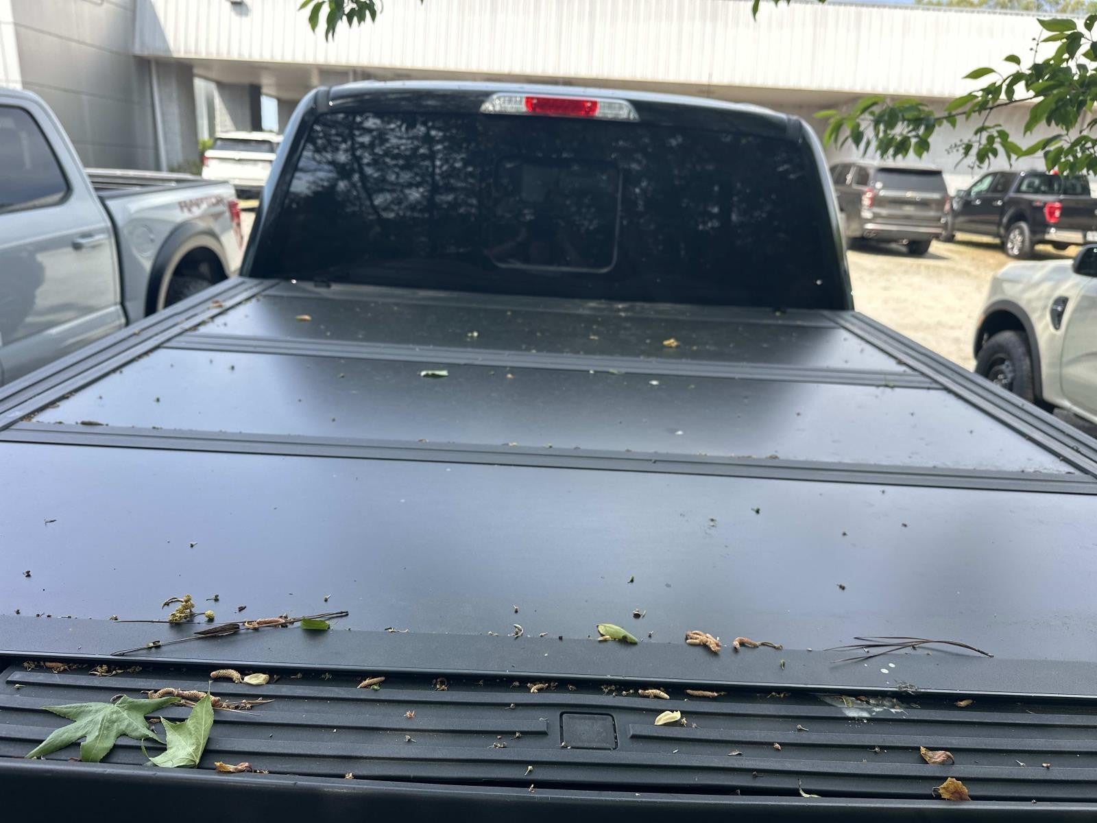 2019 Ford F-150 Limited