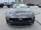 2024 Ford Mustang GT PREMIUM CONVERTIBLE