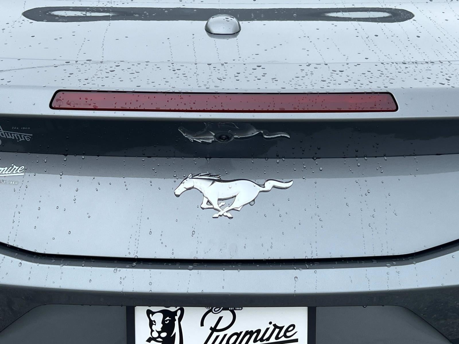 2025 Ford Mustang ECOBOOST CONVERTIBLE