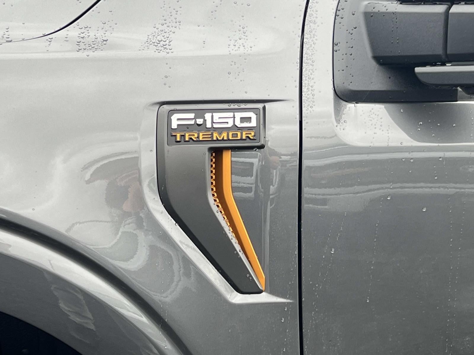 2025 Ford F-150 TREMOR 4WD SUPERCREW 5.5'