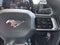 2025 Ford Mustang ECOBOOST FASTBACK