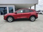 2025 Ford Escape ST LINE FWD