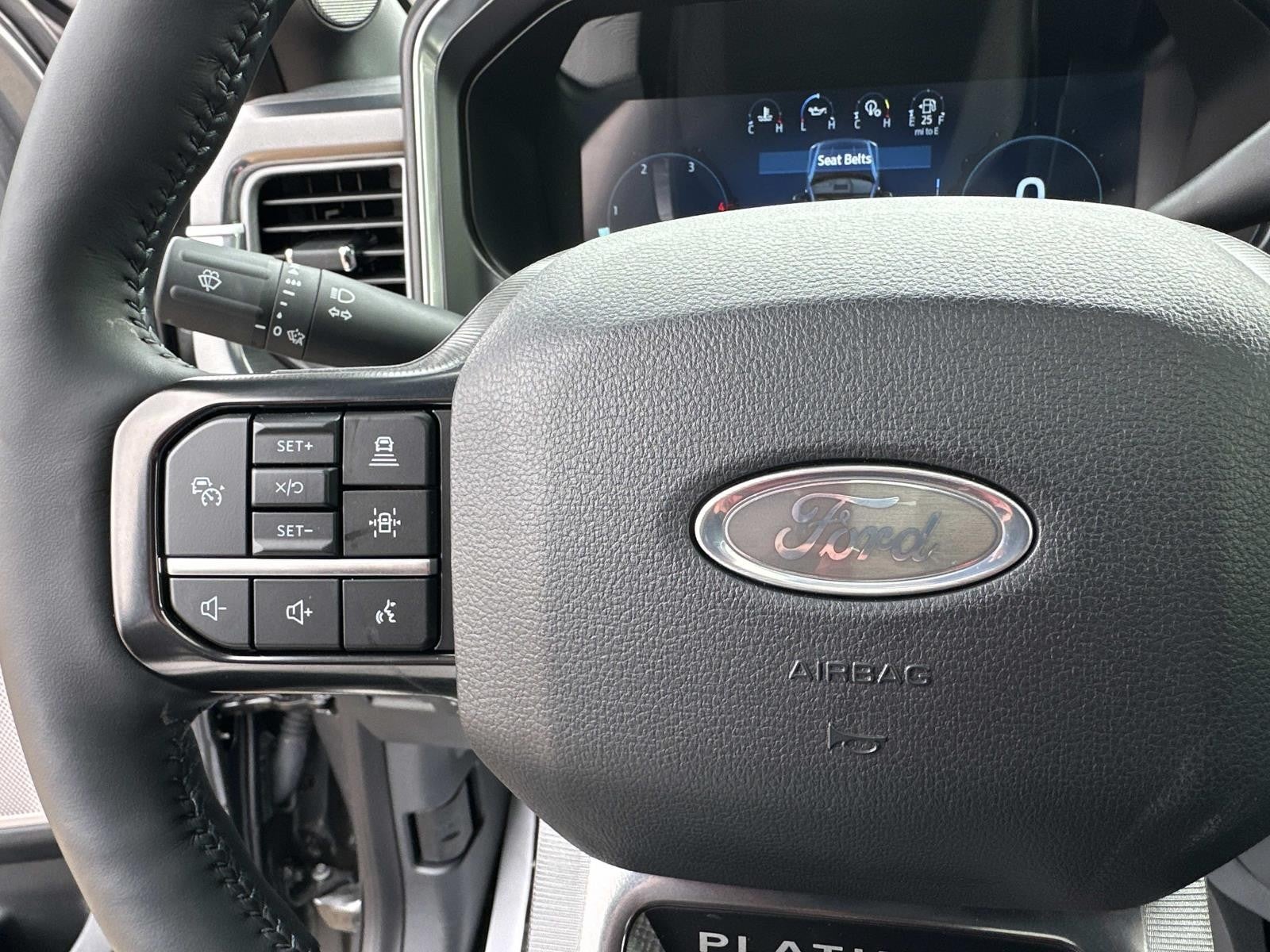 2025 Ford Super Duty F-350 SRW PLATINUM 4WD CREW CAB