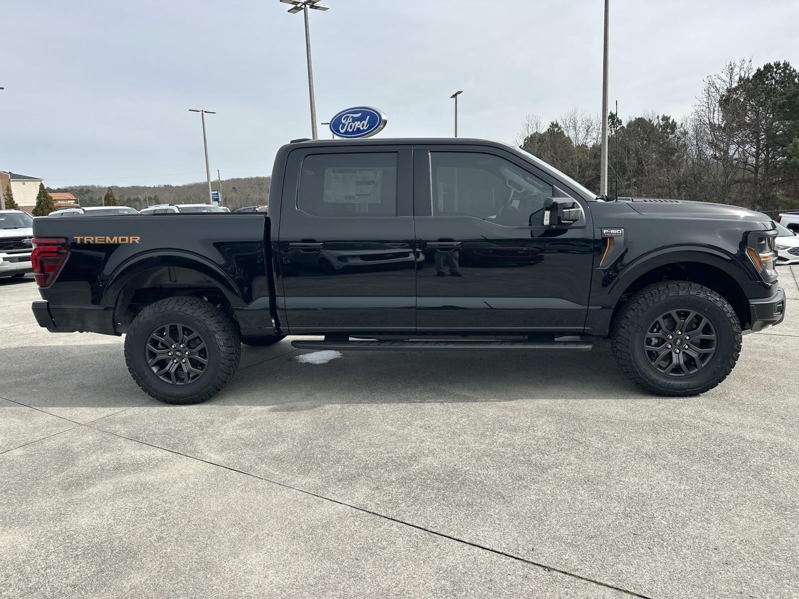 2025 Ford F-150 TREMOR 4WD SUPERCREW 5.5'