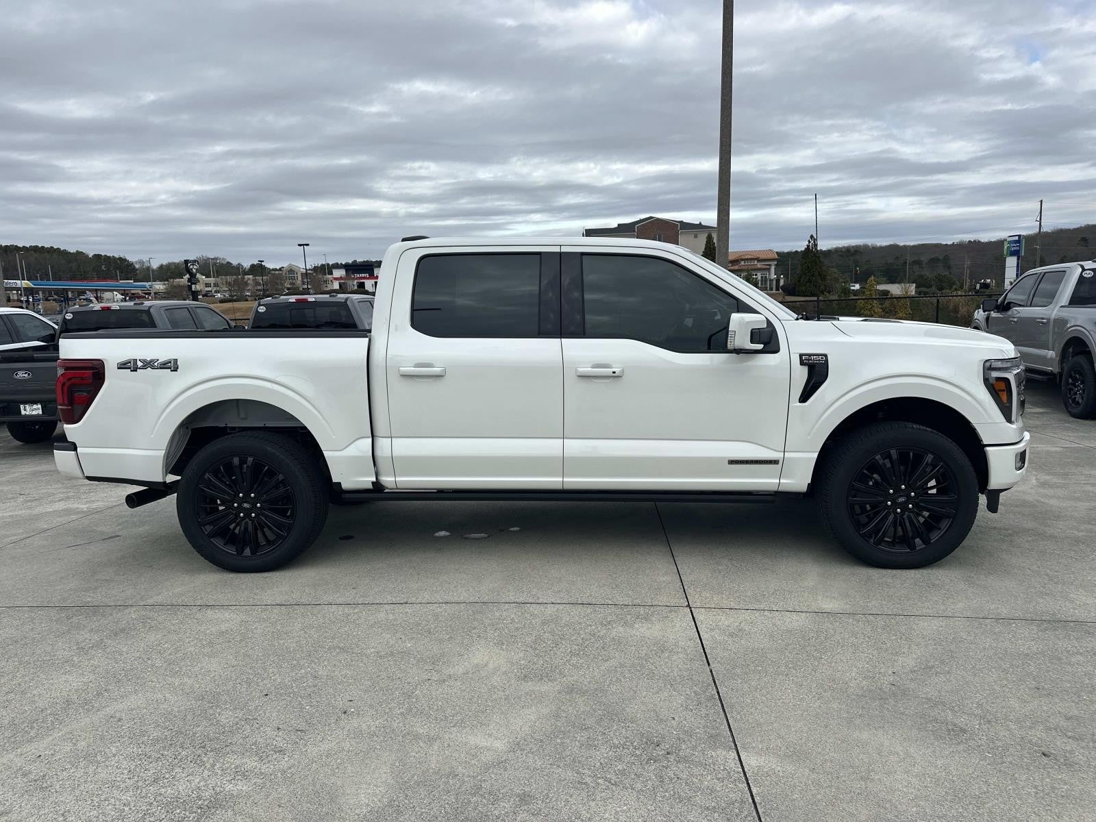 2025 Ford F-150 PLATINUM 4WD SUPERCREW 5.